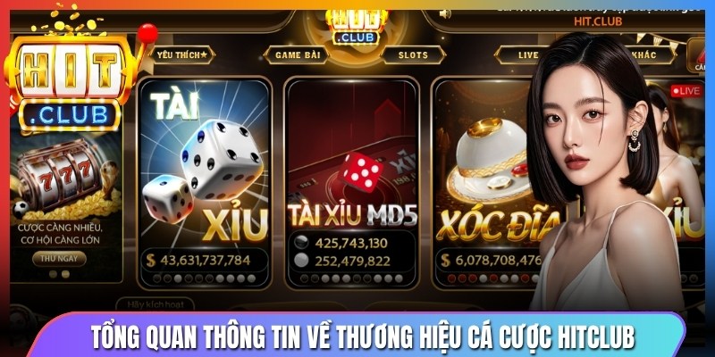 Tổng quan thông tin về thương hiệu cá cược Hitclub