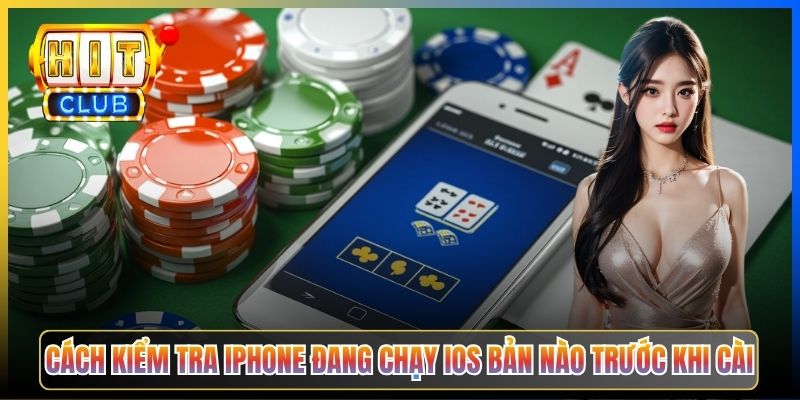 Cách kiểm tra iPhone đang chạy iOS bản nào trước khi cài