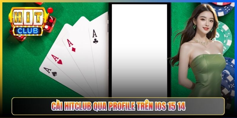 Cài Hitclub qua Profile trên iOS 15 14